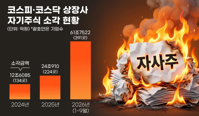 코스피·코스닥 상장사의 자사주 소각 현황(소각금액은 소각주식수와 소각일종가 기준으로 계산, 비상장 우선주의 경우 장부가액 기준). CEO스코어 제공