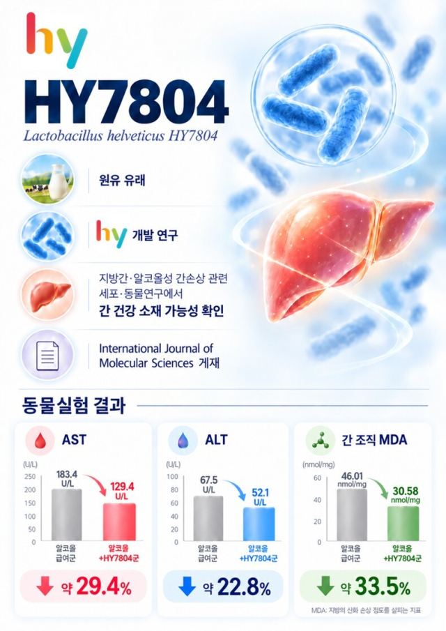 hy의 프로바이오틱스 ‘HY7804’. hy 제공